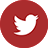 Twitter Icon